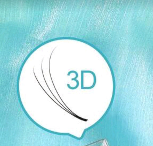 3D 0.10