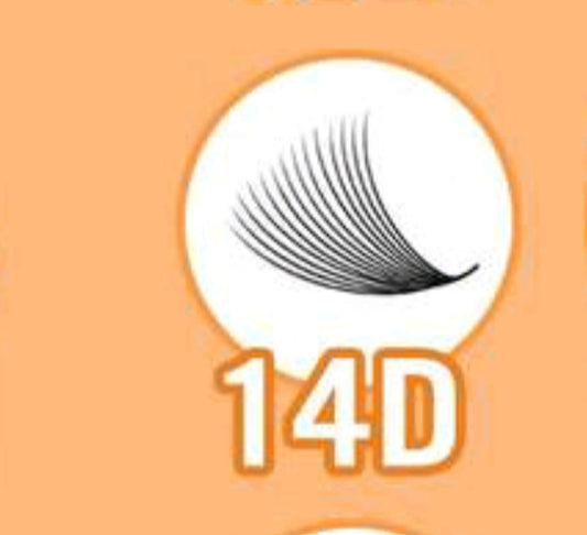 14D 0.05