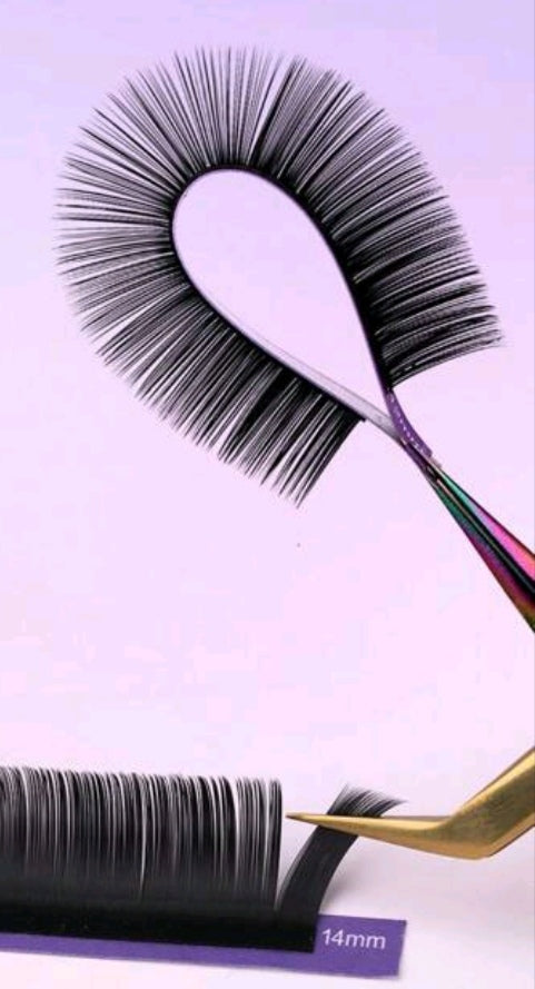 Volume Lashes