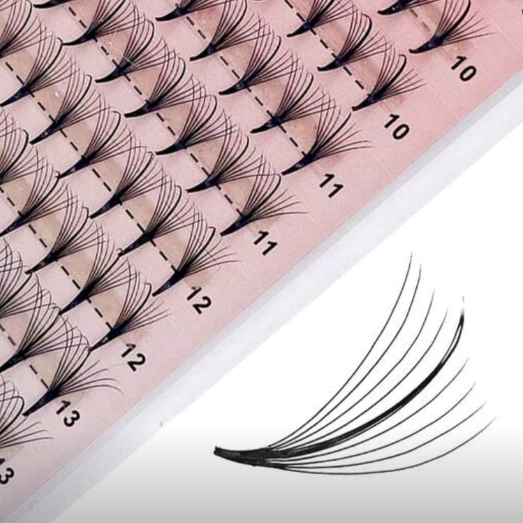 9D Wispey Fans Tray 0.07